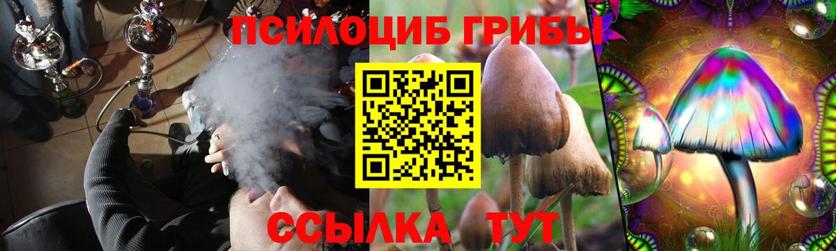 купить наркоту  Галлюциногенные грибы Magic Shrooms  Вход с VPN  Нурлат 